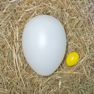 XXL Riesen Osterei (24 cm) – Strahlendes Weiß für Elegante Akzente