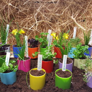 24 kleine, bunte Pflanz-und Pikiertöpfchen 6x6cm (Dekobeispiel)