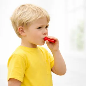 10x Zwitscherpfeifen, 4-farbig bunt sortiert- lustiger Vogelsound für Kinder und Hunde