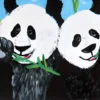 B05 Panda